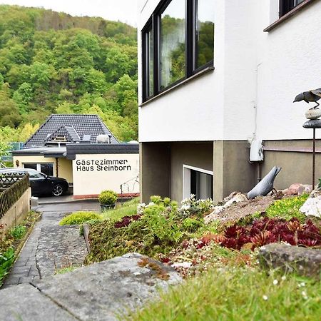 Gaestehaus Steinborn Ξενοδοχείο Heimbach Εξωτερικό φωτογραφία
