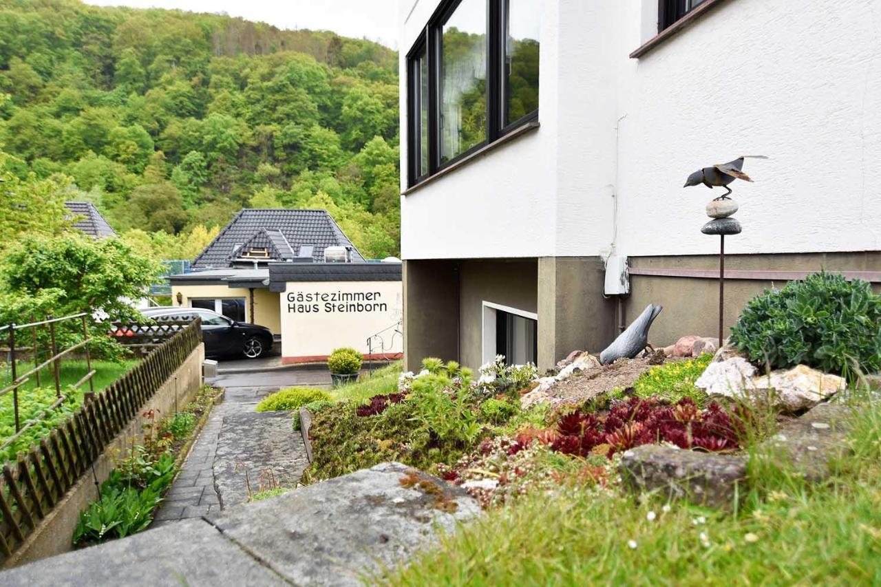 Gaestehaus Steinborn Ξενοδοχείο Heimbach Εξωτερικό φωτογραφία